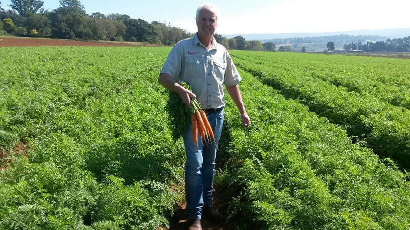 Nativa Summer Carrot Field