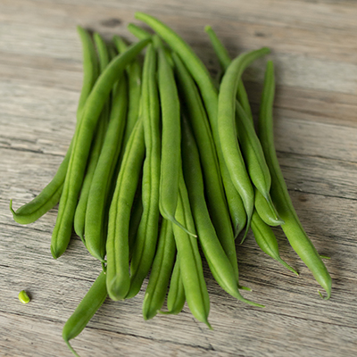 Makatini green bean variety