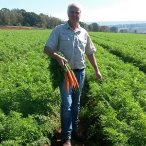 Nativa Summer Carrot Production Now Possible