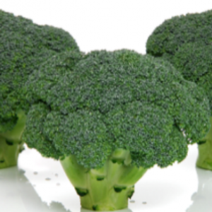 Broccoli | Choosing the Correct Variety for the Season