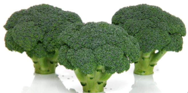 You are currently viewing Broccoli | Choosing the Correct Variety for the Season