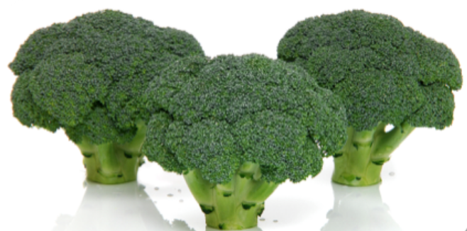 Read more about the article Broccoli | Choosing the Correct Variety for the Season