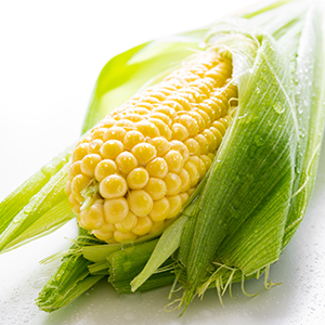 sweetcorn seed