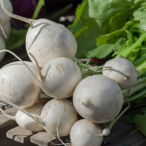 turnip seed