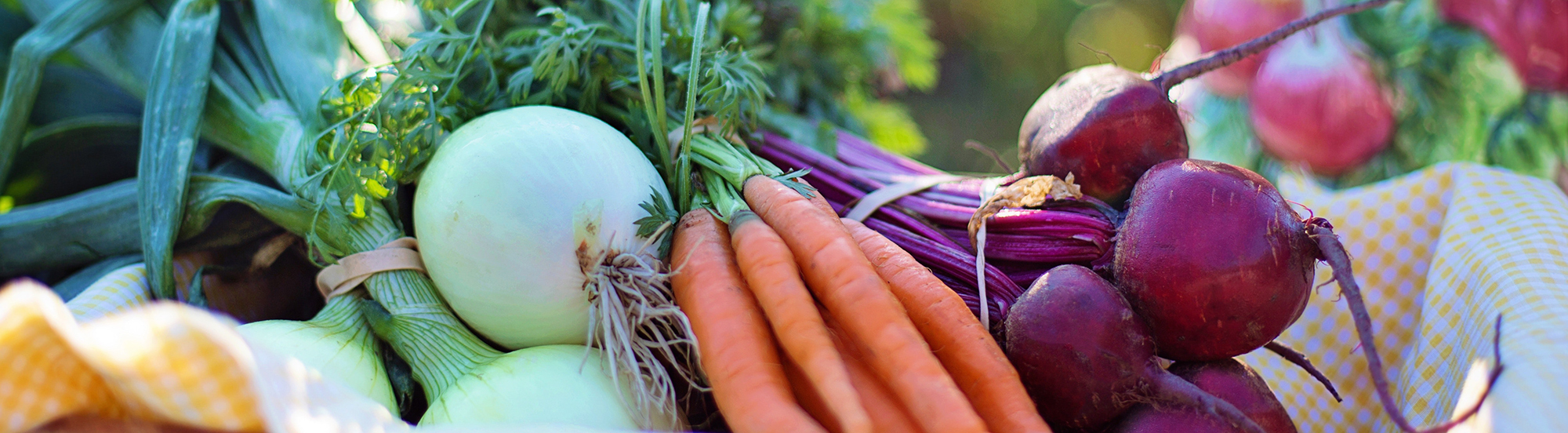 Fresh vegetables