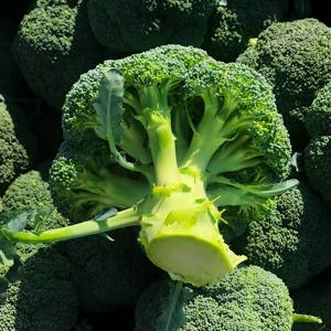 broccoli stalk