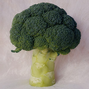 broccoli stalk