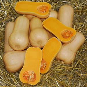 butternut squash with seeds