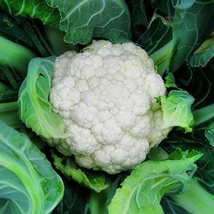 cauliflower with leaves